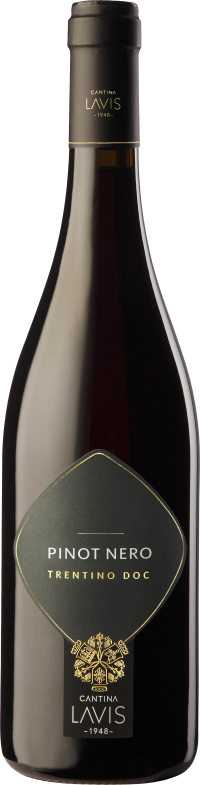 Pinot Noir Vigneti delle Dolomiti IGT  bottle