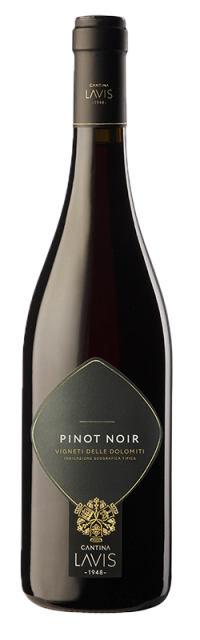 Pinot Noir Vigneti delle Dolomiti  IGT bottle